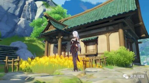 申鹤最新爆料,神秘事件背后的惊人真相